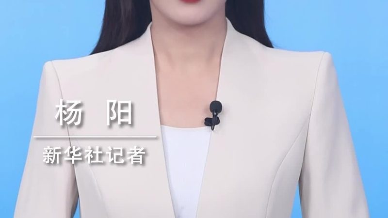 智慧城市系统集成项目经理：职责与挑战